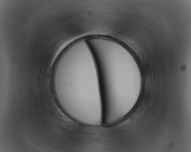 X0000097850926200803140853