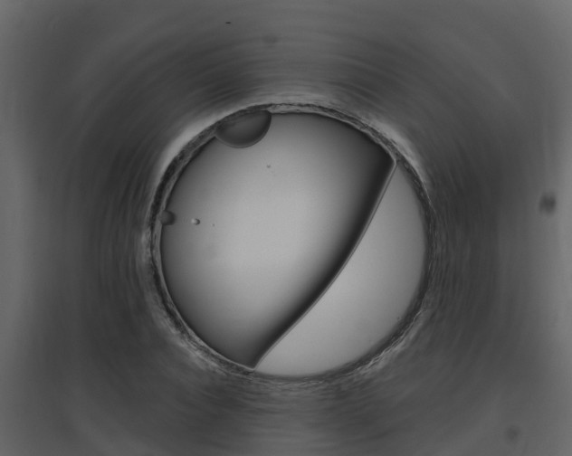 X0000097850928200803140853