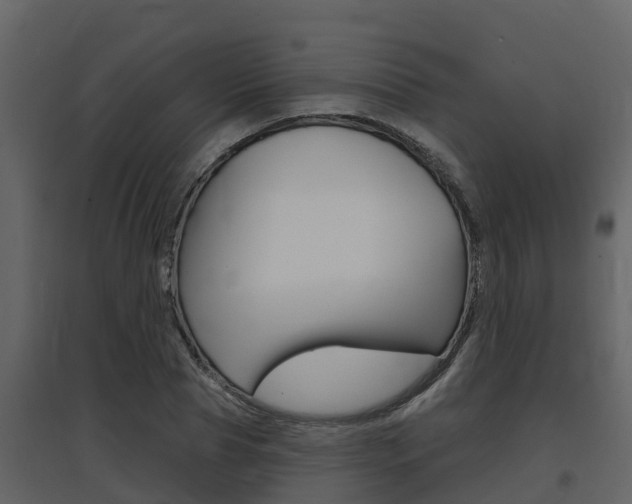 X0000097850929200803140853