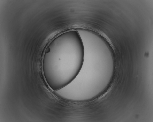 X0000097850930200803140853