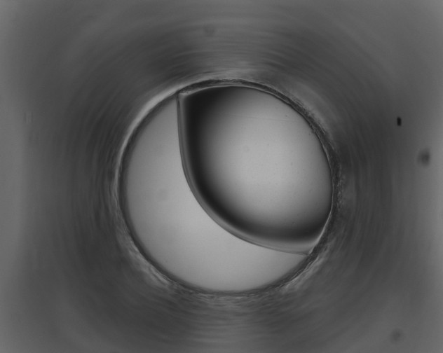 X0000097850932200803140853