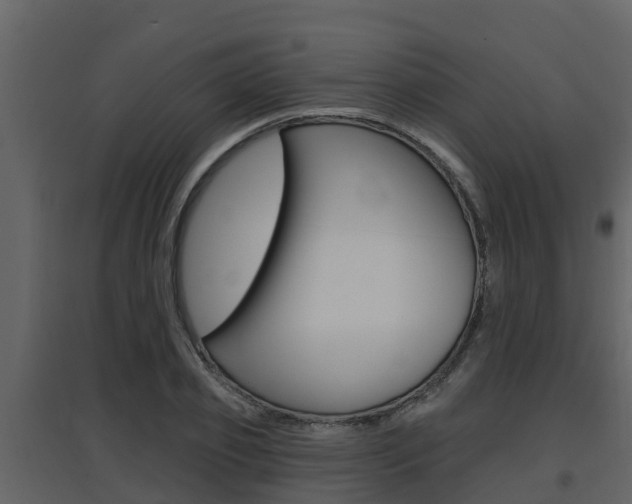 X0000097850933200803140853