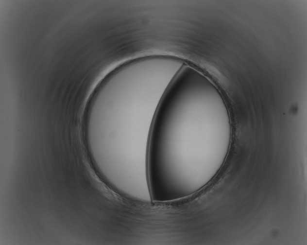 X0000097850934200803140853