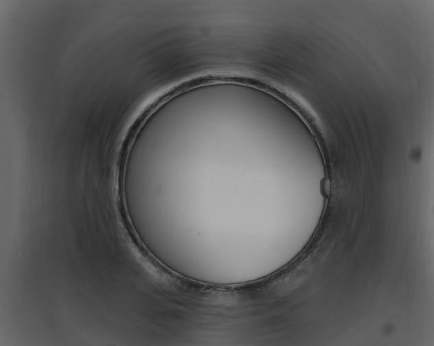 X0000097850935200803140853