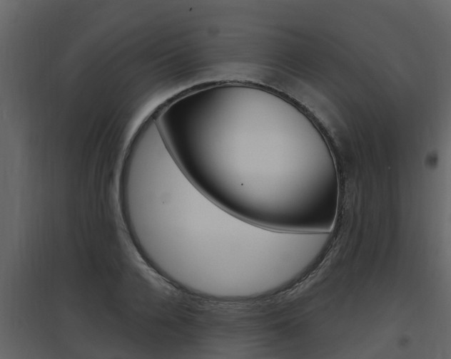 X0000097850936200803140853