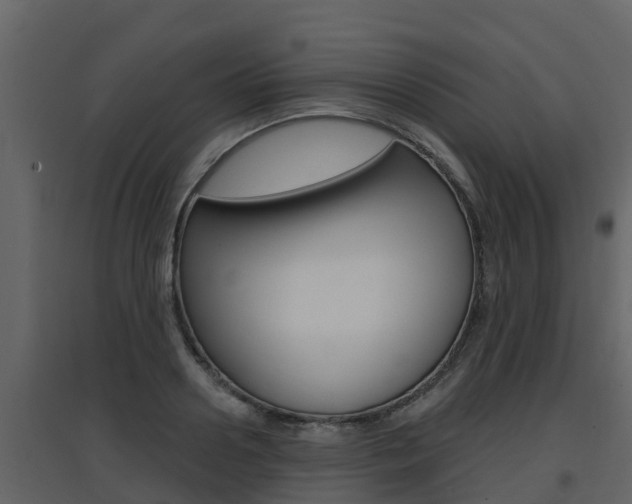 X0000097850938200803140853