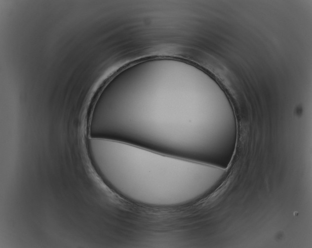 X0000097850939200803140853