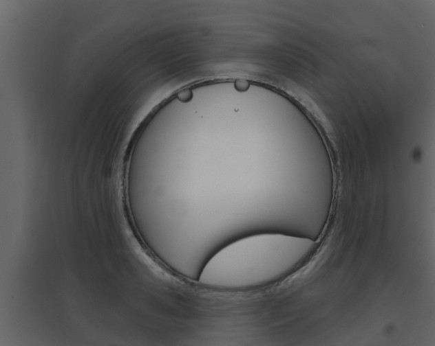 X0000097850941200803140853
