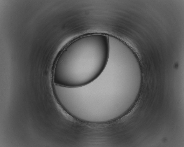 X0000097850942200803140853
