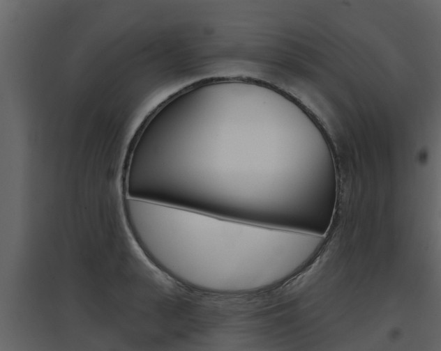 X0000097850943200803140853