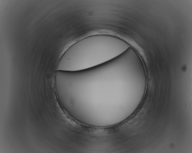 X0000097850945200803140854