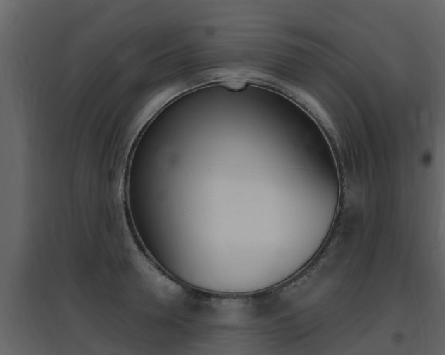 X0000097850946200803140854