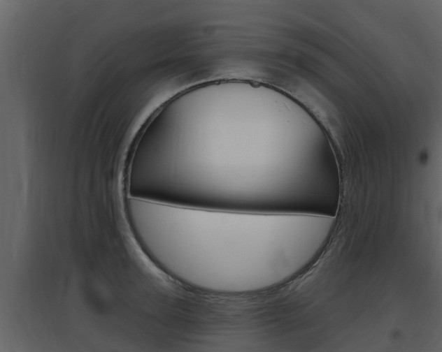 X0000097850947200803140854