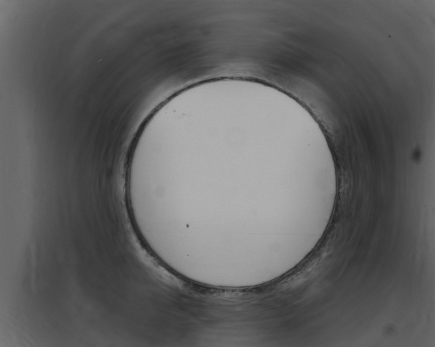 X0000097850950200803140854