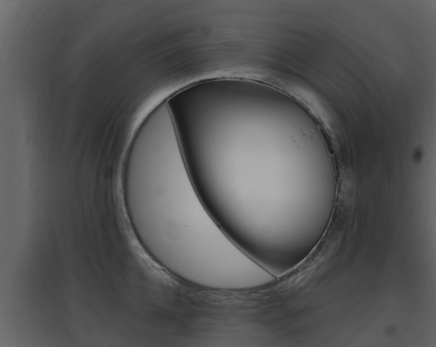 X0000097850952200803140854