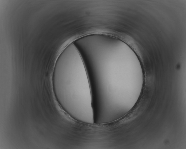 X0000097850954200803140854
