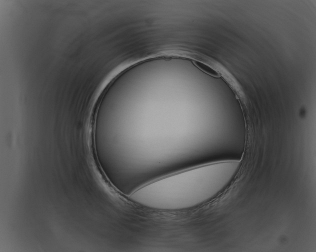 X0000097850955200803140854