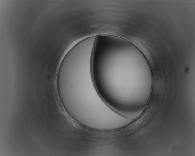 X0000097850956200803140854