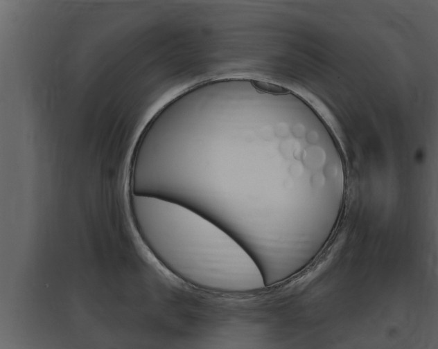 X0000097850957200803140854