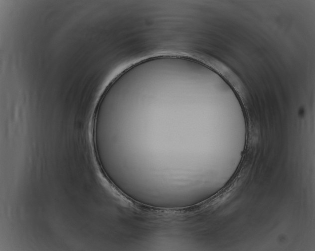 X0000097850958200803140854