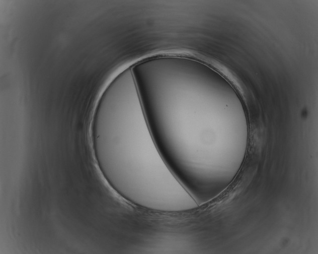 X0000097850959200803140854