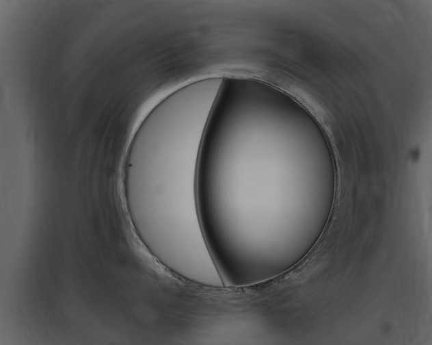 X0000097850960200803140854