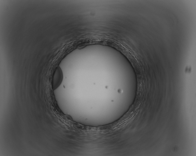 X0000097850961200803140853
