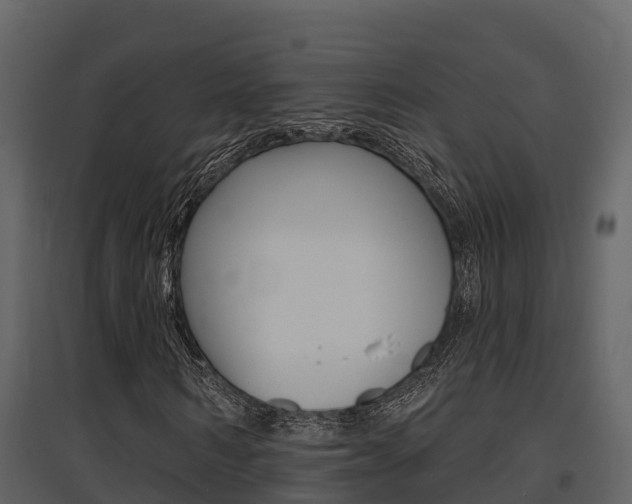 X0000097850962200803140853