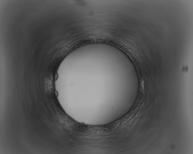 X0000097850963200803140853