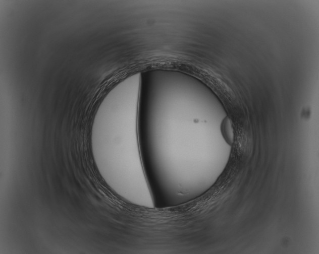X0000097850964200803140853