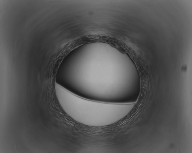 X0000097850965200803140853