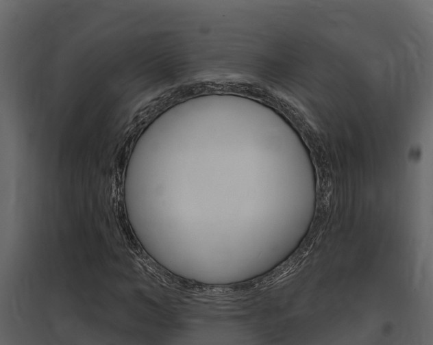 X0000097850966200803140853