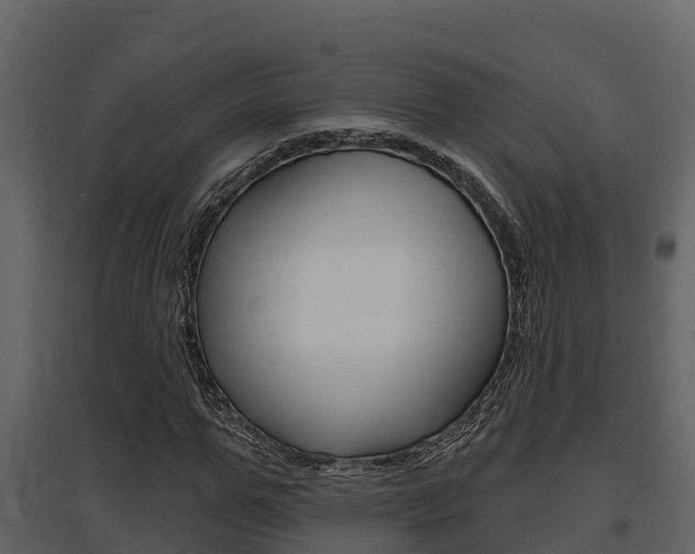 X0000097850967200803140853