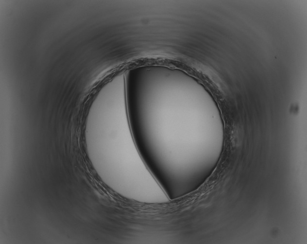 X0000097850968200803140853