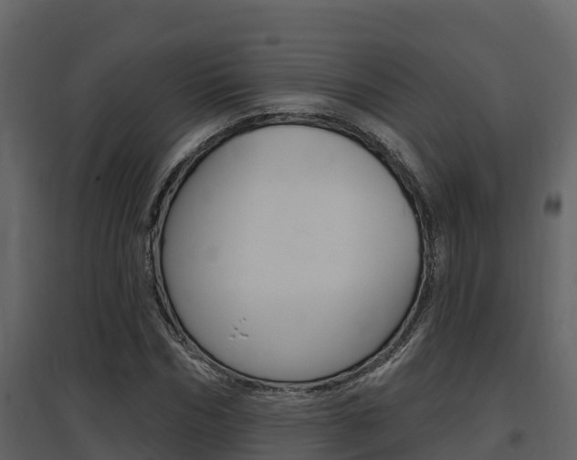 X0000097850970200803140853