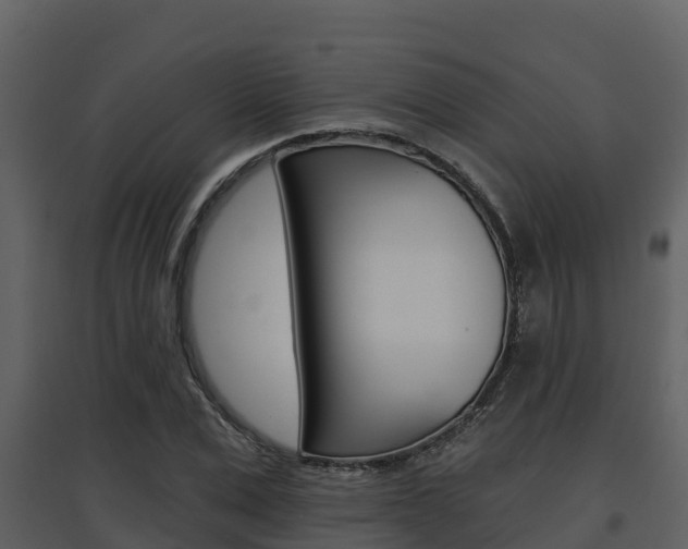 X0000097850975200803140853
