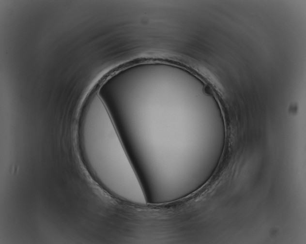 X0000097850976200803140853