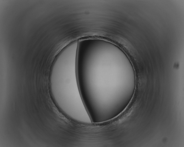 X0000097850977200803140853