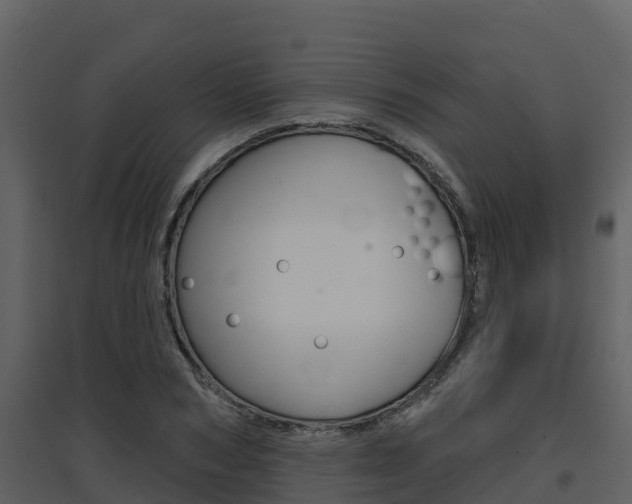 X0000097850978200803140853
