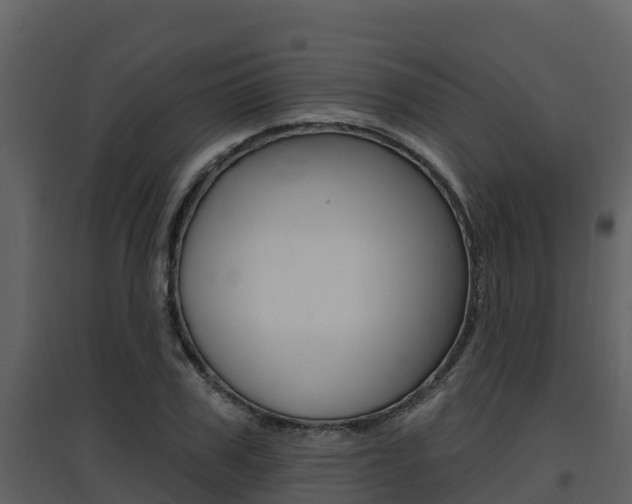 X0000097850979200803140853