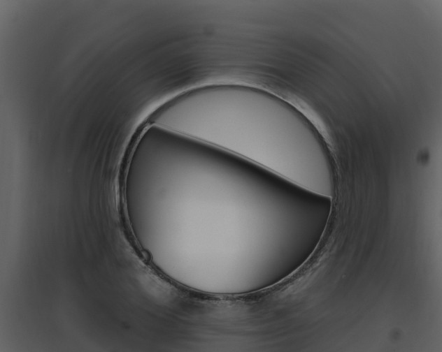 X0000097850980200803140853