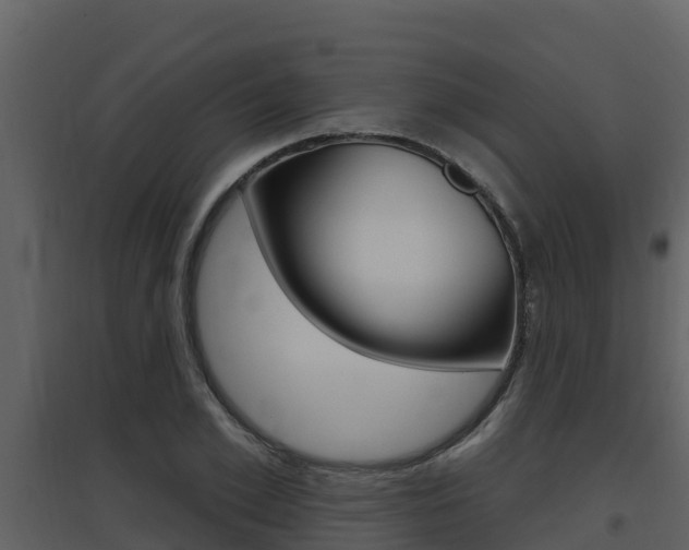 X0000097850981200803140853