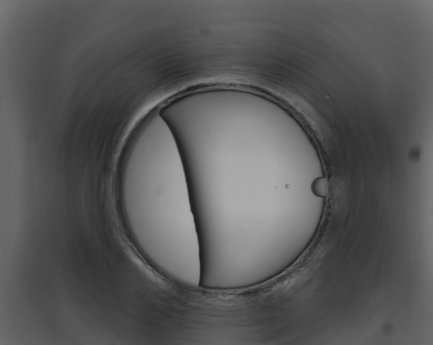 X0000097850982200803140853