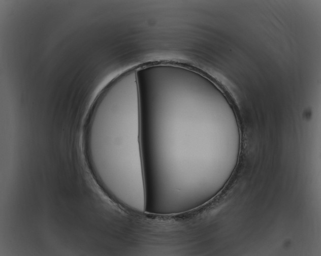 X0000097850983200803140853