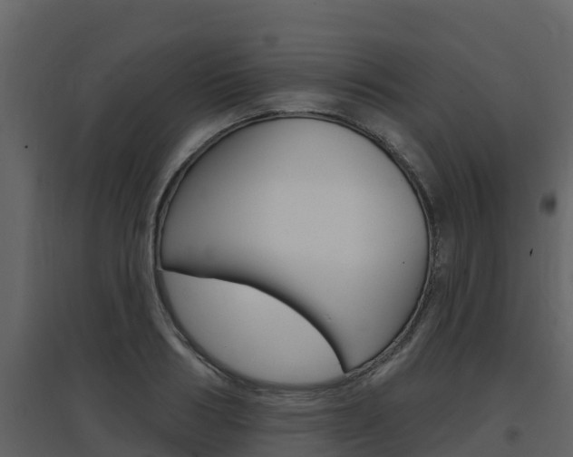 X0000097850986200803140853
