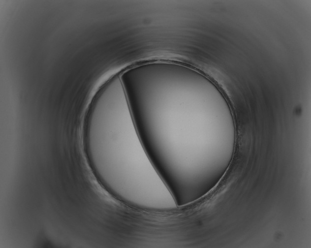 X0000097850987200803140853