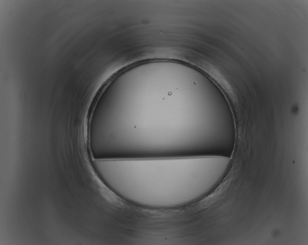 X0000097850988200803140853