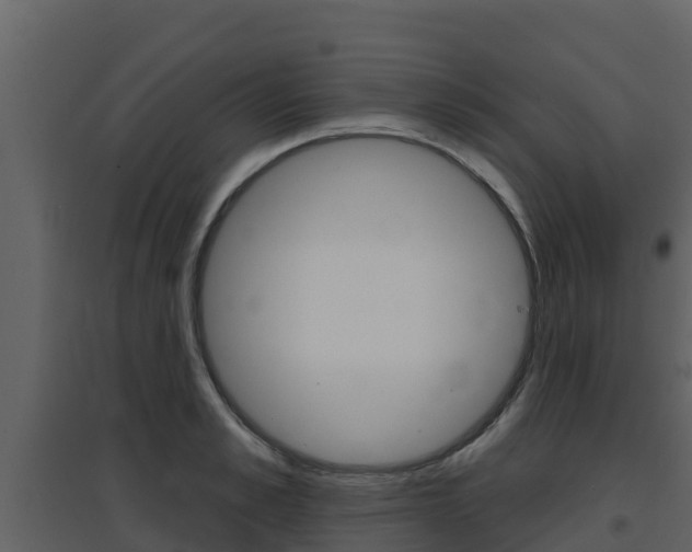 X0000097850989200803140853