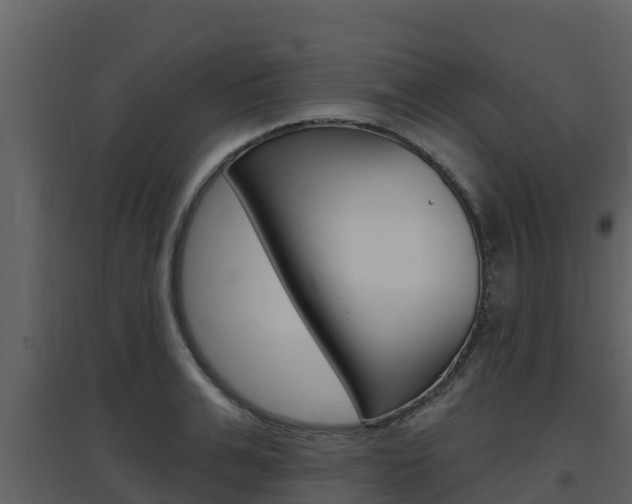 X0000097850991200803140852