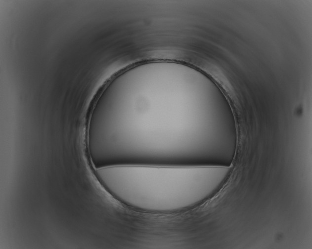 X0000097850992200803140852